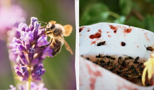 ����������� ������� ���������� �� �� � ������� �� ����� �������