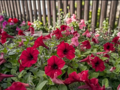 ��� ��������� �������: ������� ������ ��� ������������ ��������