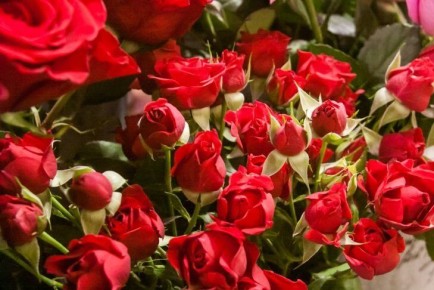 ����� ������ ����� ������ �������: ���� ��� ����� �� ����