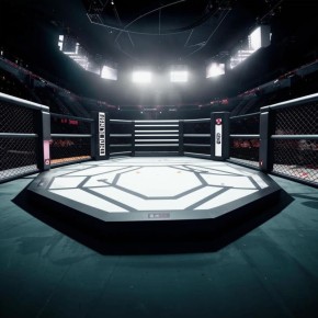 ������������ ������� ������ ����������� ����� ���� � PFL