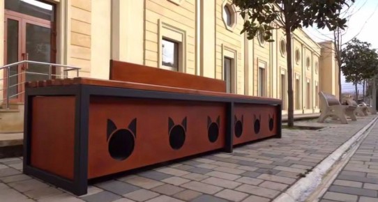 � �������� ����������� ����������������� ������ ��������: �� ������ ������ ���������� ���� ������ ��������� ������� ��� ��������� �����