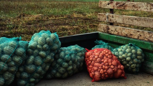 ������ ���������� ��������� ����� ������ ���: ���� �� ������� ����� �� ������ �������