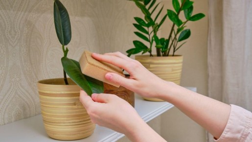 ���� ������ ������� ������������ ��������: ����������� ������� ����-���������