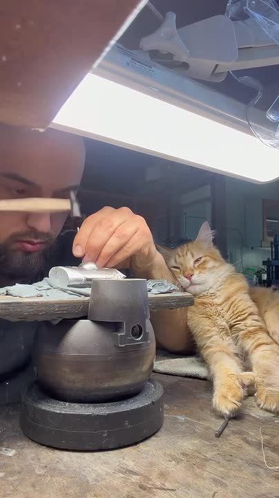 "���� �� ���� ��������". ������-��������� �� ��������� ���� ������� ��������� ��� �������, ��� �� ����� ����� ���� ������� ��������