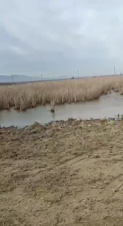 �� ����� �� ������� ��� ���������������� ������ ��������� ������������� ��������