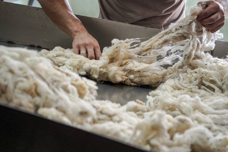 1 �������� �������� � ���������� 300 ���� ������