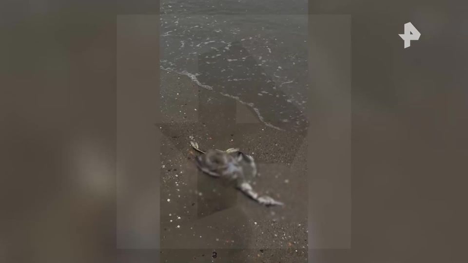 � ������������ ��������� ������� ������ ���� ������� ��-�� �������� ���������� �������� ������� � ������������� ���� �� ������� ���������