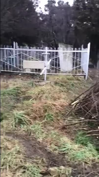 ���������� ������ "������ ���������" ���������� ���������� ��������� �������� �������� ������ �� ���������������