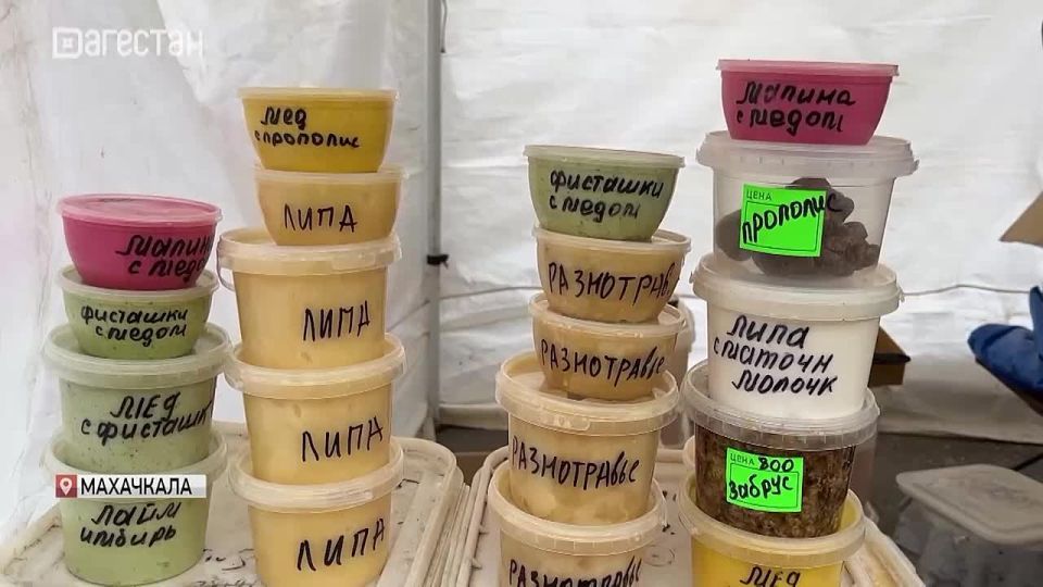 � ��������� � ������������ ���������� ������������ ������� ������������ � ����������� �������