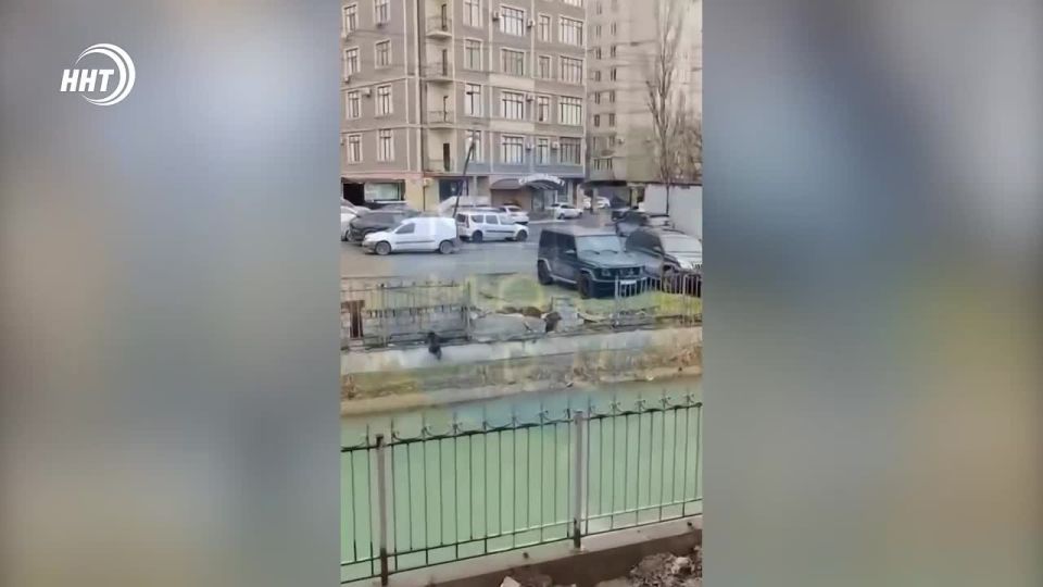 ����� ����� ����������� ��������� ����� � ������ ��������