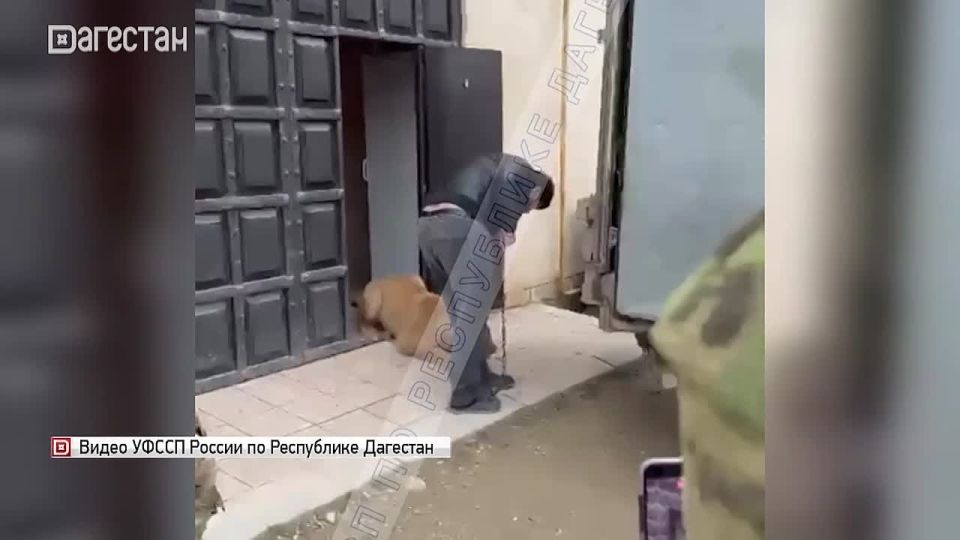 �������� �������� �������������� ������ ���������