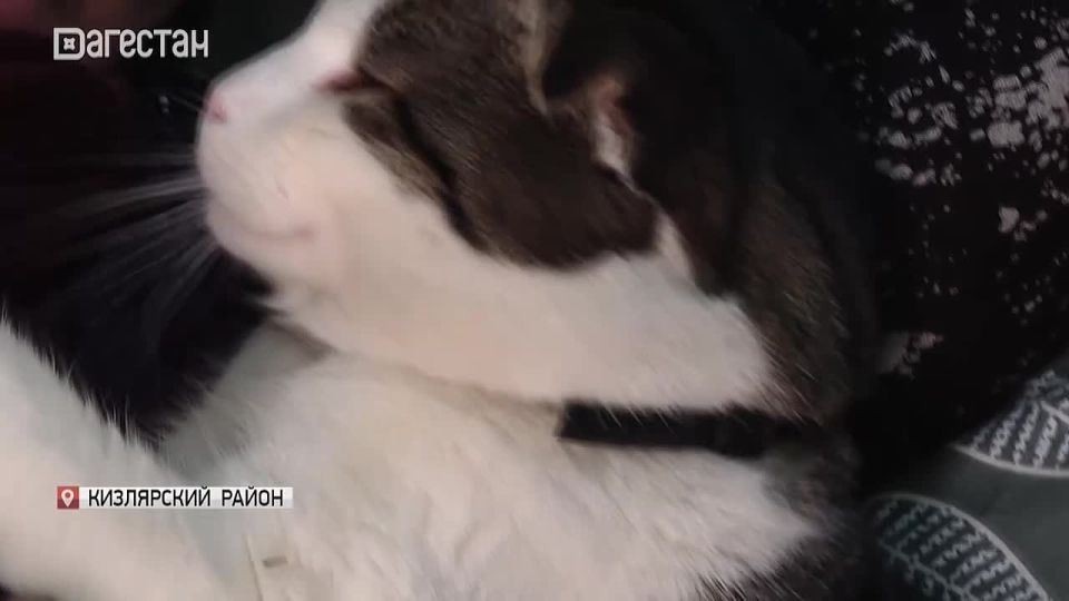 ����� �� ������������� ����, ���� �� ����� �������� ������� ������ ������, ����� �� ���� ���� ������� �������� ����������