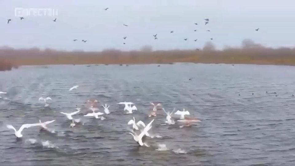 ������ �������� ������������� � ������ � ��������, �� ���� � ���� � �����, ��������� ���� � ����������� �����