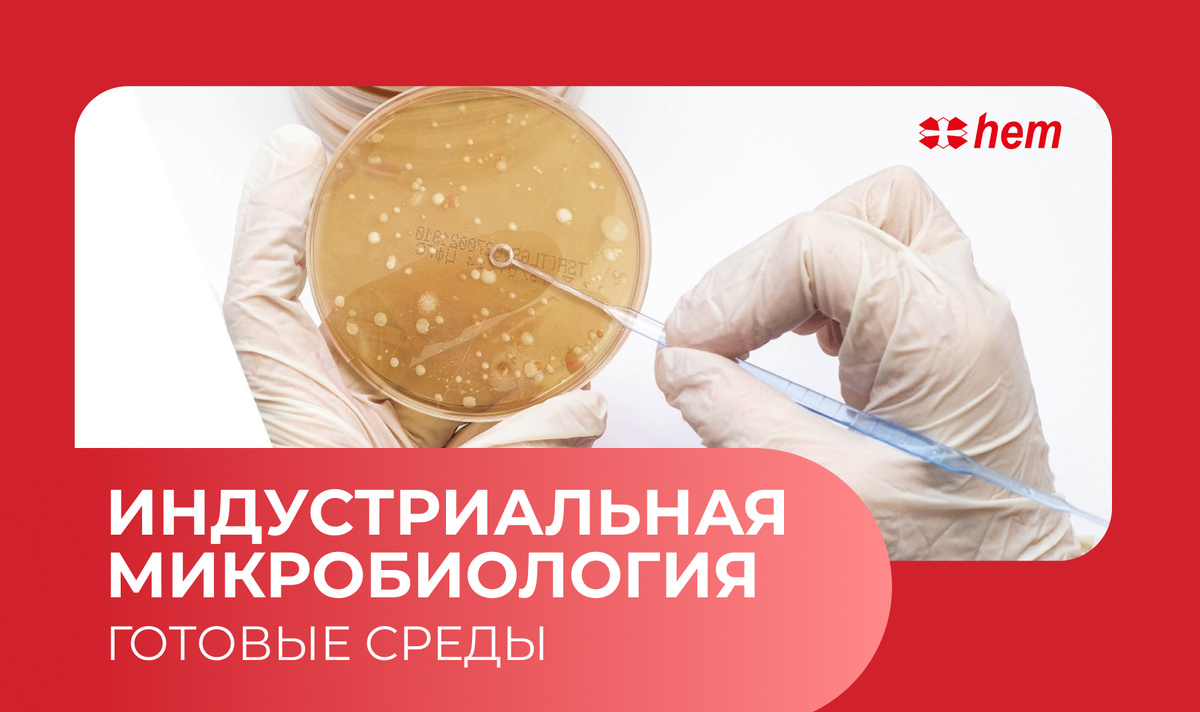 Зачем нужна проверка чистоты?