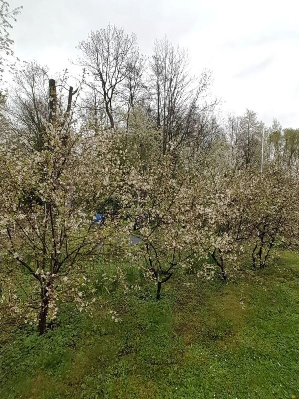 ������ ���� ����� �� �������� �����: 10 �������� ������