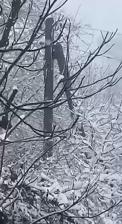 ���������������� ������������ � ������������ �������������������