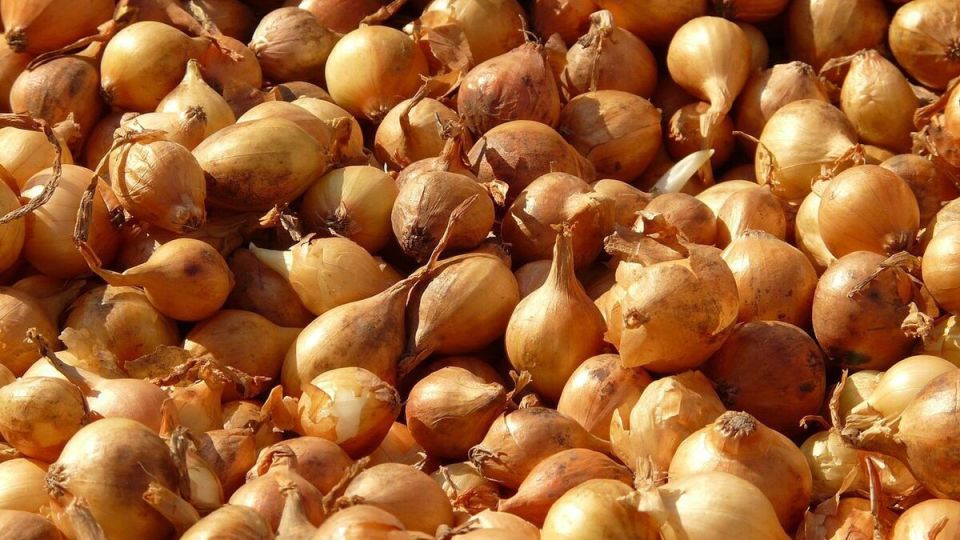 ��� ��������� ������� ���-����� ��� ������ �����