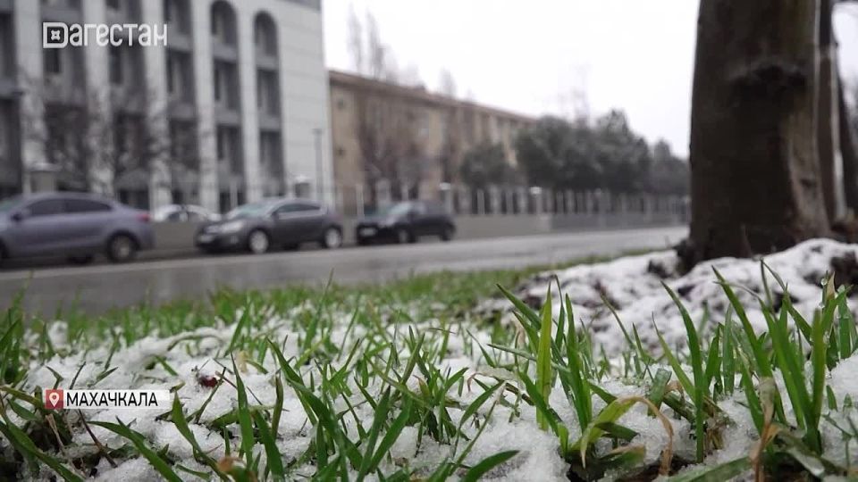 ���� ������� ���������� ����: ���� � ����� � ���������