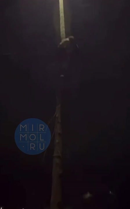 В Дагестане спасли кошку, просидевшую на столбе 13 часов