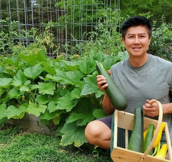 Вертикальные огороды по-японски: как вырастить больше на меньшем пространстве