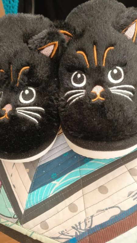 О тапочках, котиках и важности человеческого общения