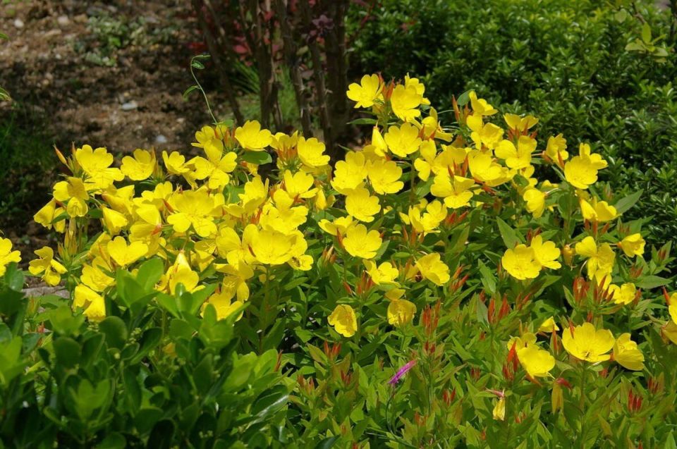 �������: ����� ��������� ��� ������ ����