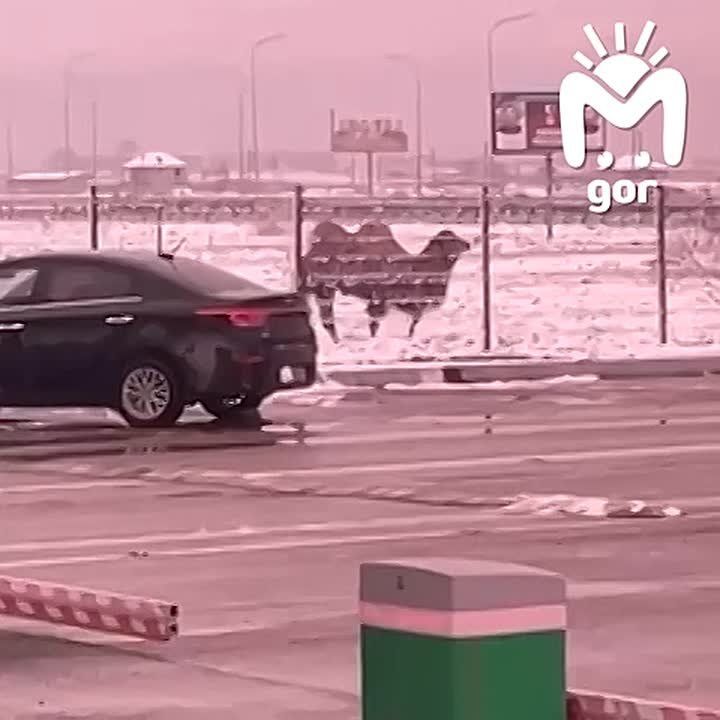 ��� ��������� ������� ������� ������������ �� ������-���������� ������ ��������� ���������