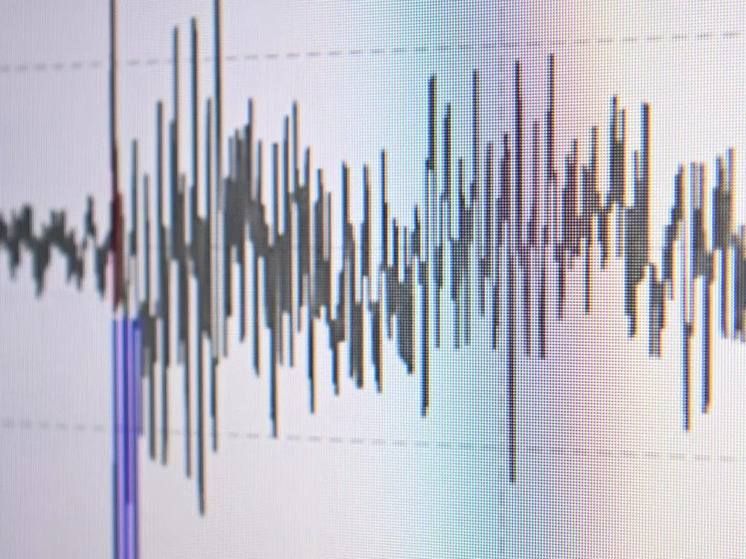 ������������� ��������� � ��������� ����������� ���� �������� �� ���������