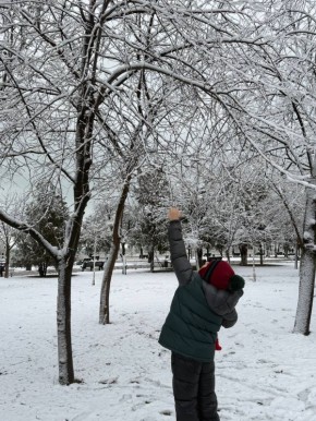 ������ �������������: ������ ���� ����� � ���������