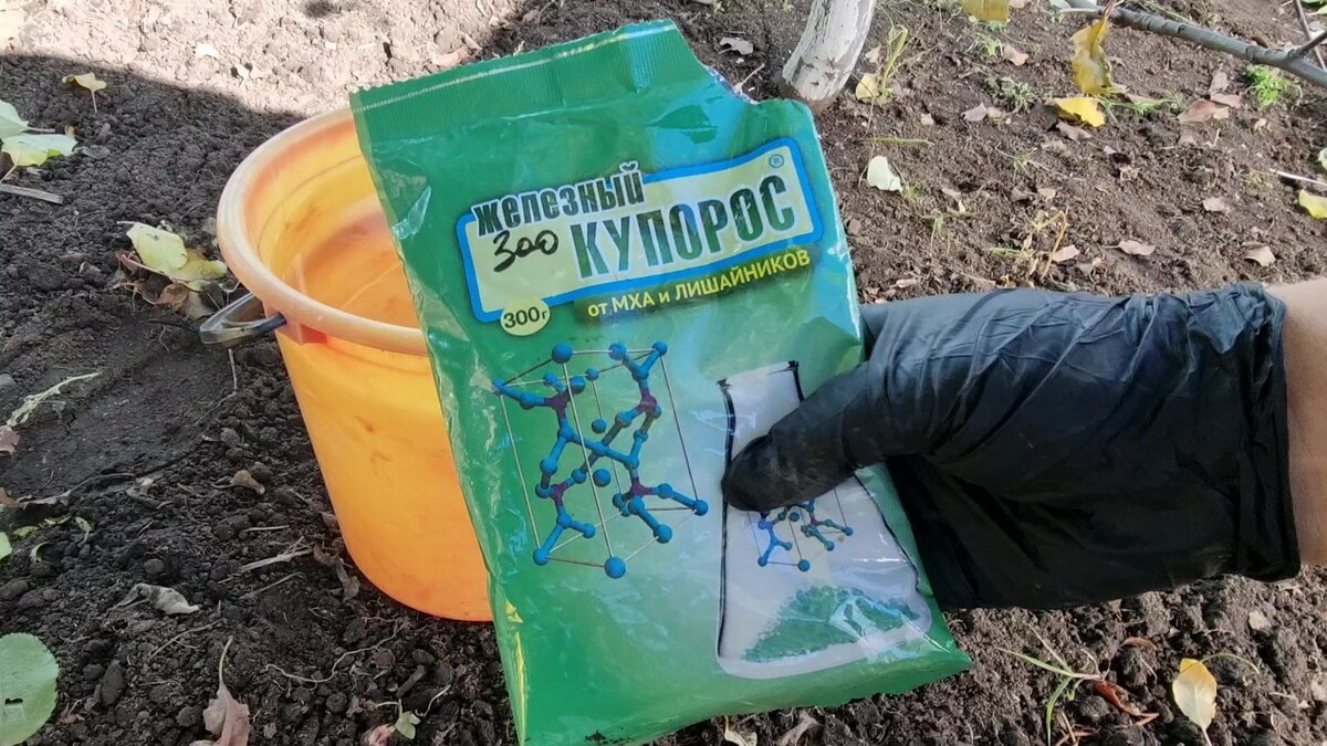 Выбор между медным и железным купоросом для осенней обработки сада