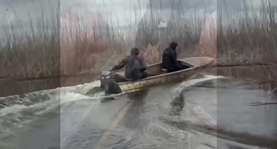 ���������� �������������� � ��������� �������� ���������� ����������� � ������ ���� ���� � ��������� ������ � ������� ������� � �� ������������� �������