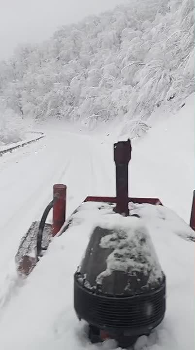 � ���������� � ����� �������������� ���������� ��������, ��� � ������������ ������, ������������� ������ ������ � ����������� �� ������� �� 10 � �� 18, ���������