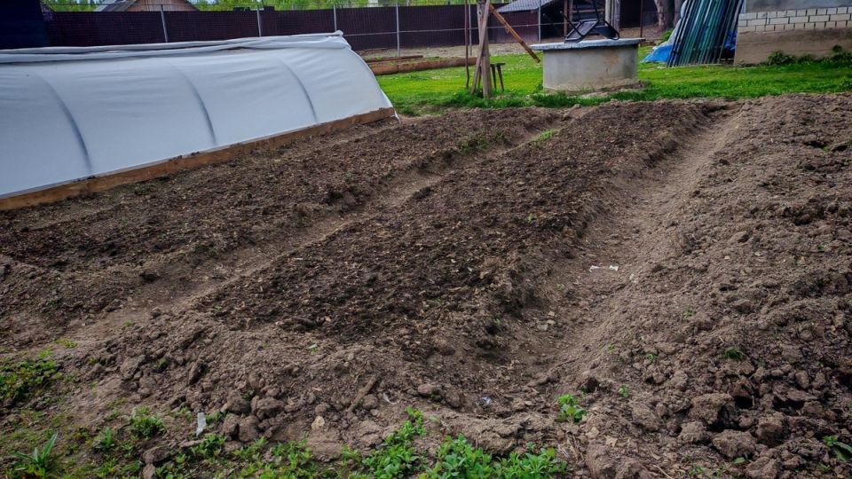 ��� ������� ������ ����� ����������� ��� ������