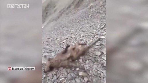 ����� �� ������ ����� ������� ��������������� ������������� �������� � � ��������� �������� ���������������� ��������������� �����