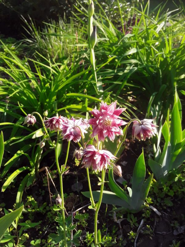 ����� ������������ � ����� ����: ��������� ������ � ����������� �������