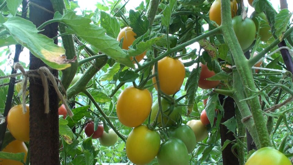 ��� ��������� 20 �� � �����: ������� ����� �� ����� ���������