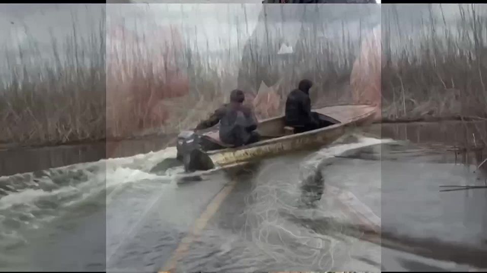 � ��������� ���������� �������������� � ���� ������� ����������� ����������� �� ���������� ������ ����� ������ �� ������������� ������� ������ � ������� �������