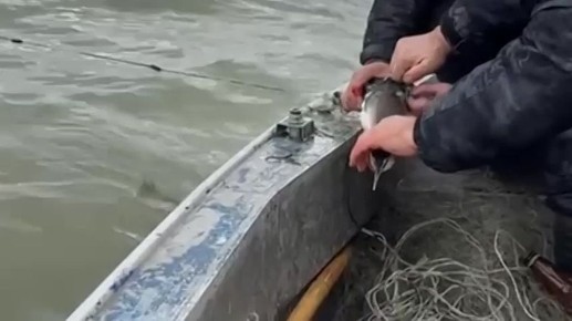 ������ � ����� ������ �� ����������� �� ���������� ����������� � ���������