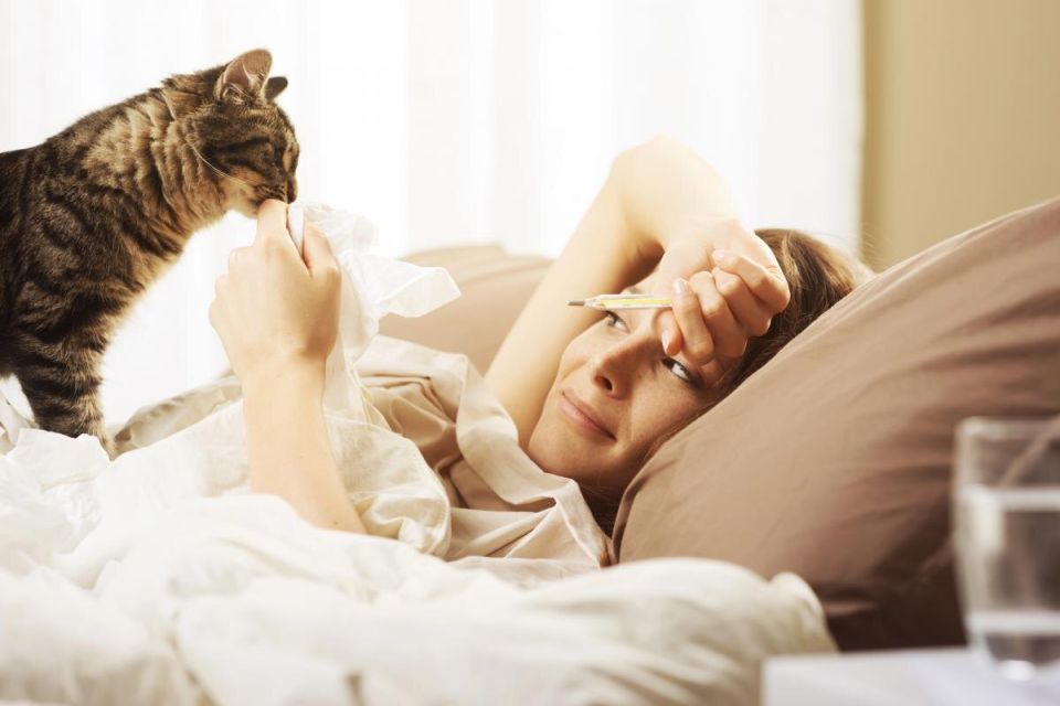 ����� � ��������: ����� �� ������� �����������, ����� �� ������?