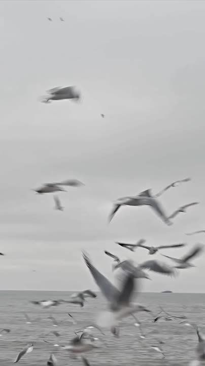 ����� ���� � ��� ���� ��� ������� - ����������� ��� ��� ������ �������