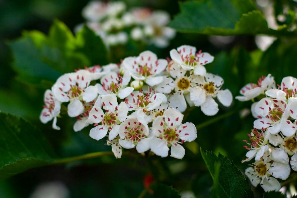 �������: ��������, ������� �������� ��� ������� ��� ��������� � �����