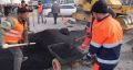 С улучшением погоды в Махачкале снова начали устранять повреждения дорожного покрытия