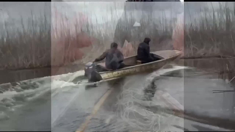 ���������� ������-����������� ���������������� ���������� �������������� ������� �������� ��������� ���������� ����������