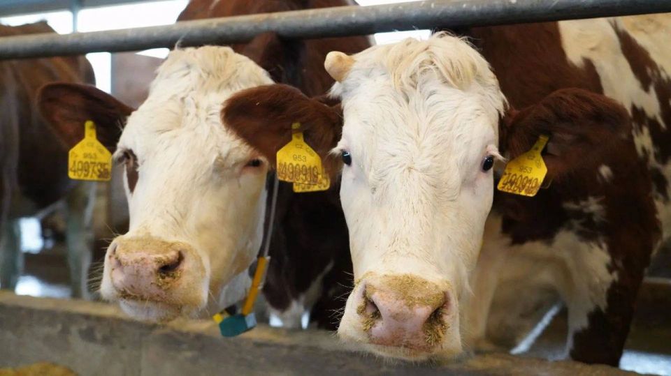 ��������� �������� �������� ����� � ��������� �� ��� ������� �� 2% � ��������� 914 �����