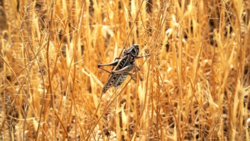 �������� ����� ��������� ������� ������������ �������������� ������������� �� ������� ���������� ����������