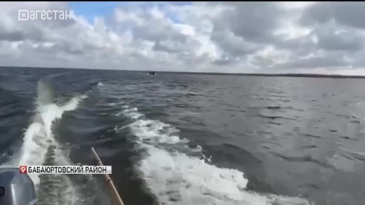 Спасали рыбу, а помогли еще и птицам