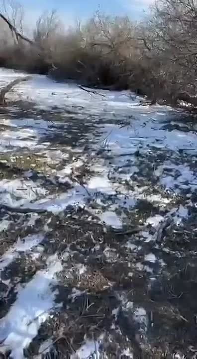 ����� 230 �������� (�������� � ��������) ��������� ������� ����������� � ���������� ������ � ������������� ������, �� ���������� ����������� ������ �����������