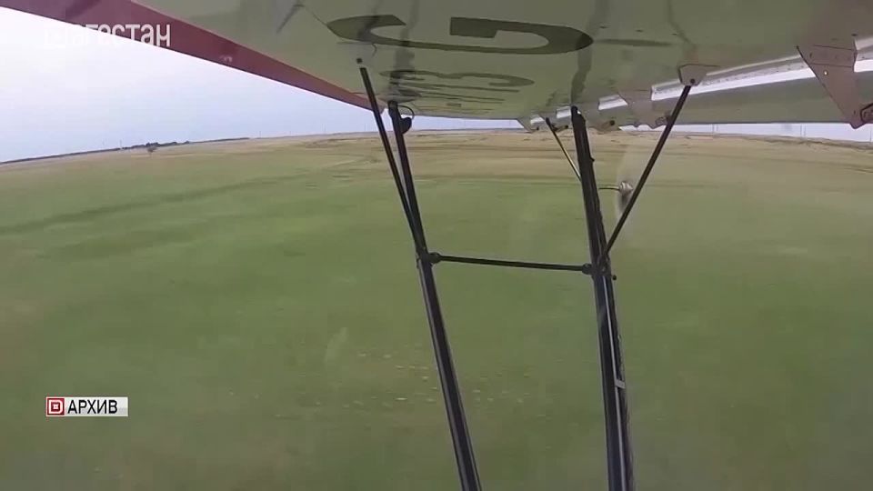 Северные районы Дагестана проверят на наличие саранчи