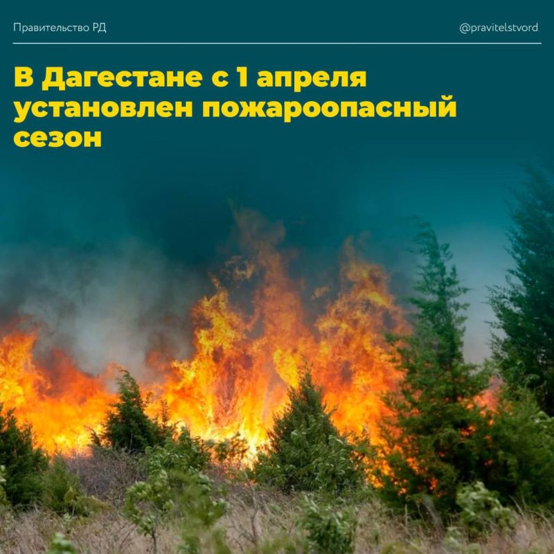 В Дагестане с 1 апреля устанавливается пожароопасный сезон