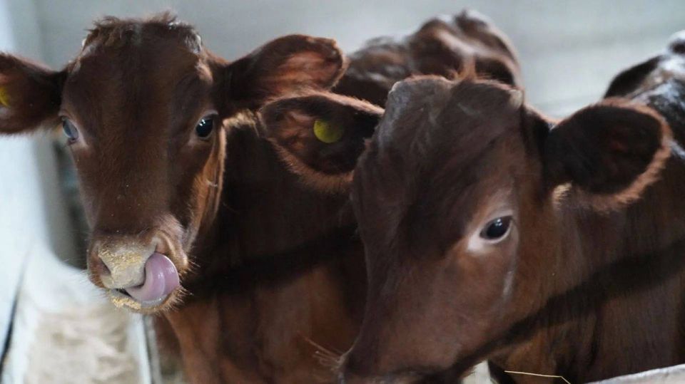 � ��������� ������� ��������� �����